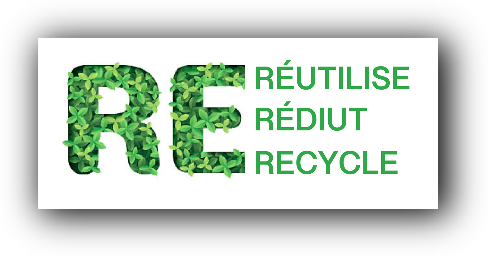 Imagen RECICLA